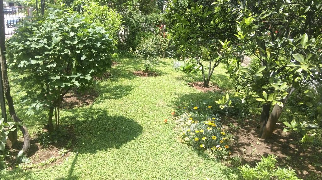Apartment Ruzica Krstic Herceg Novi Ngoại thất bức ảnh
