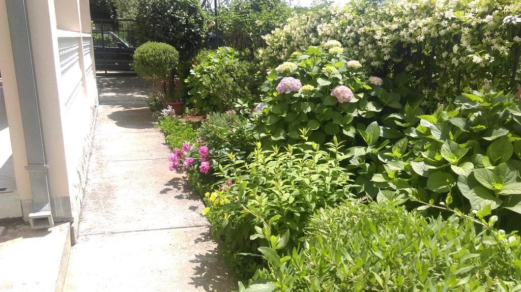 Apartment Ruzica Krstic Herceg Novi Ngoại thất bức ảnh
